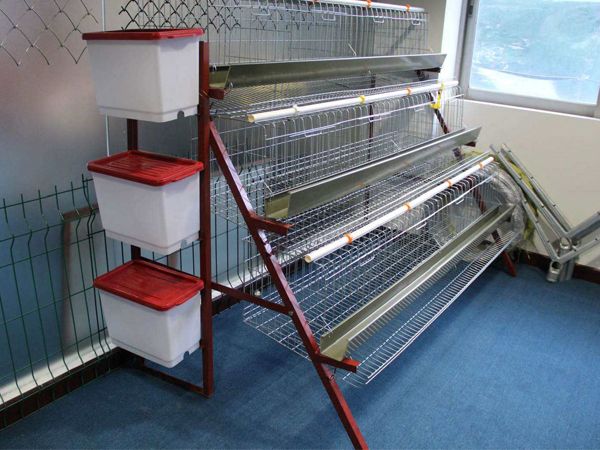 層疊式蛋雞養(yǎng)殖設備